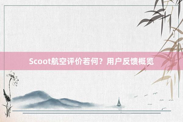 Scoot航空评价若何？用户反馈概览